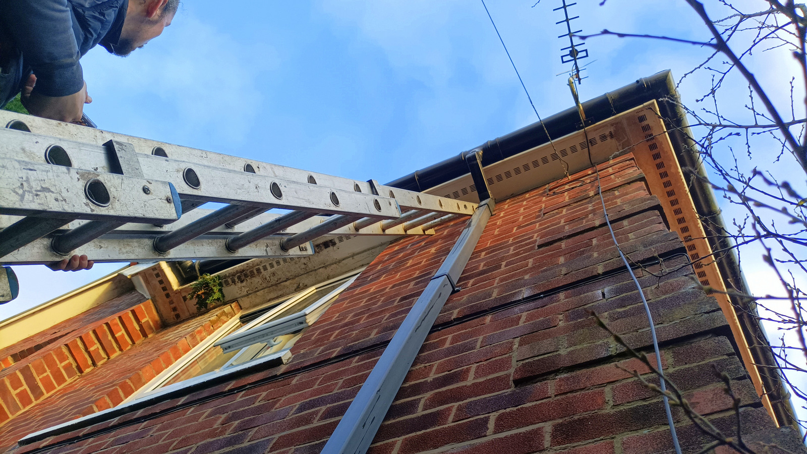 Starting the clean...